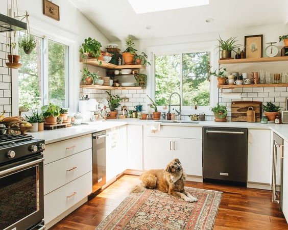 Tendance Deco Les Plantes Dans La Cuisine Ateliers Jacob