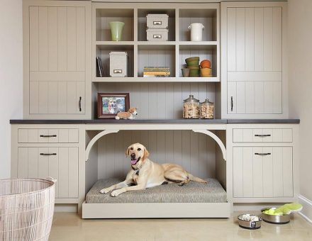 Meuble intégrant une armoire dédiée au panier d'un chien qui s'y tient confortablement.