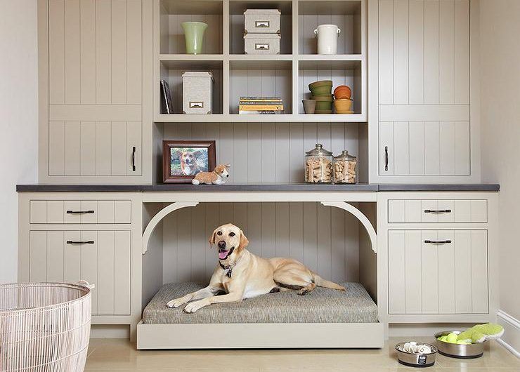 Meuble intégrant une armoire dédiée au panier d'un chien qui s'y tient confortablement.