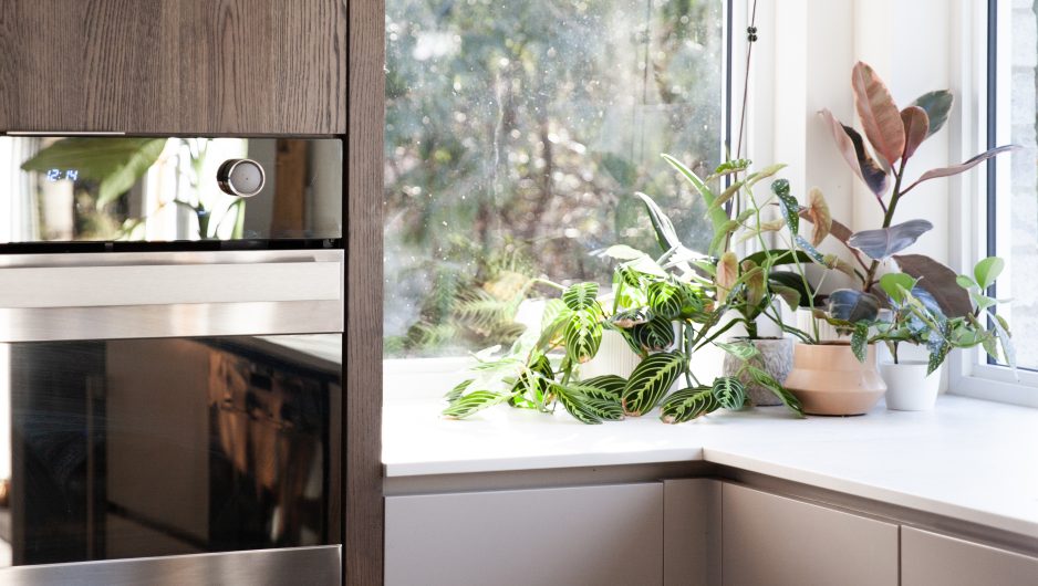 Une cuisine contemporaine aérée avec un grand îlot central