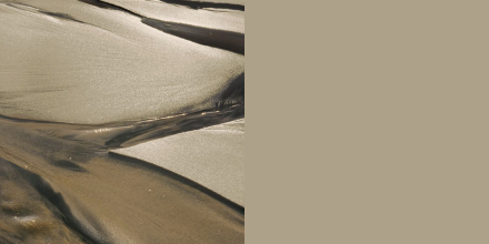 Khaki de HGTV Home by Sherwin Williams, une teinte sable inspirée des paysages naturels, couleur de l’année 2026.