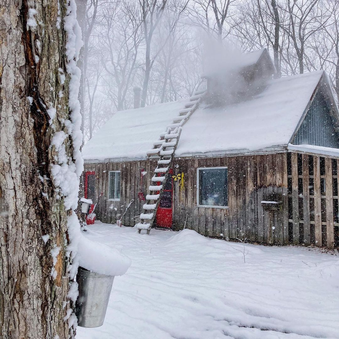 Cabane à sucre sous la neige.